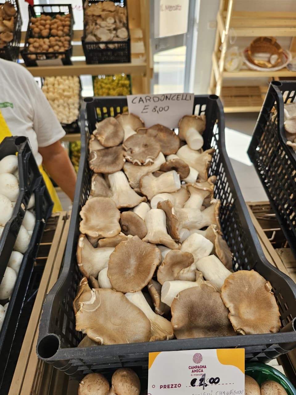 5a98da8de7cd.jpg