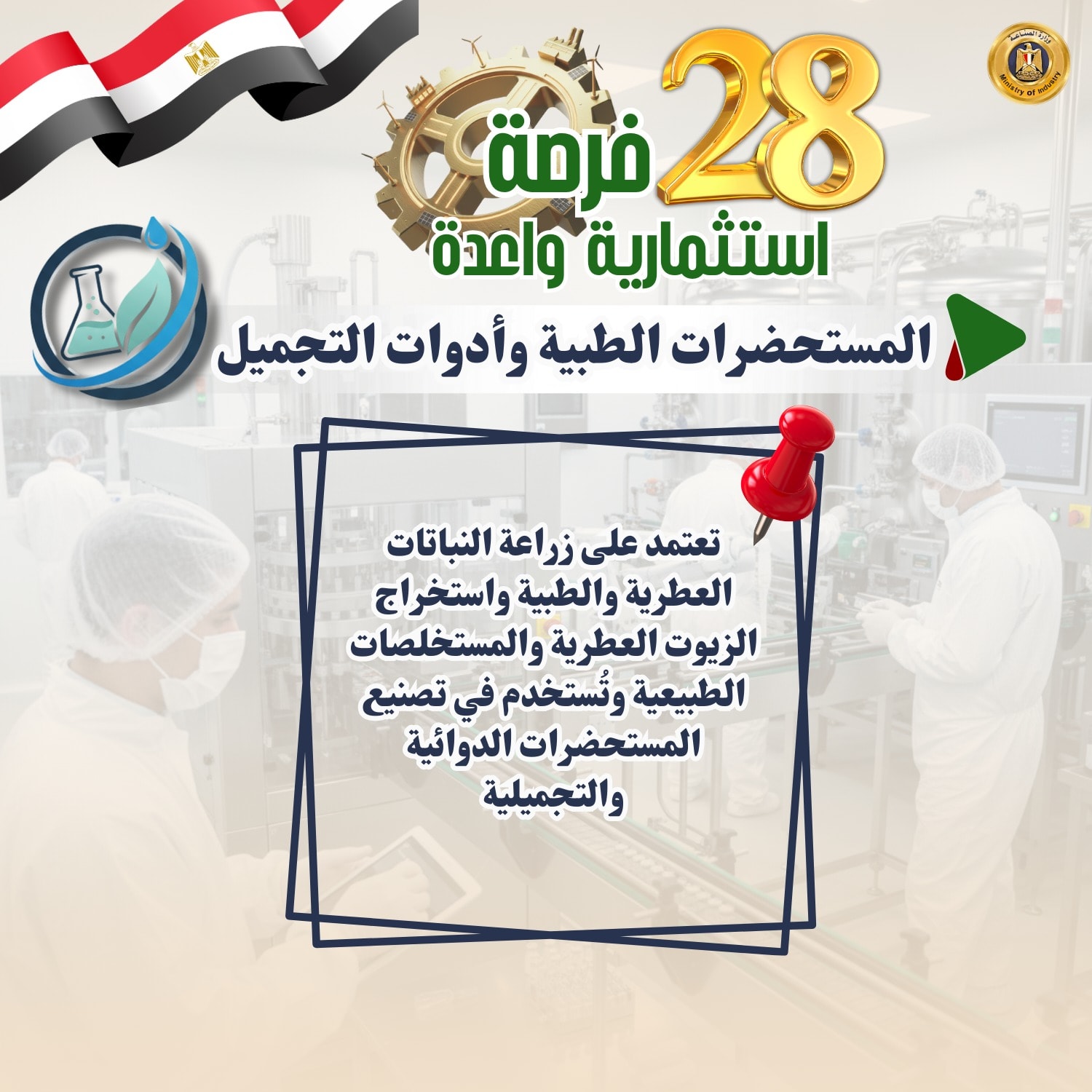 ae08c8b4955a.jpg