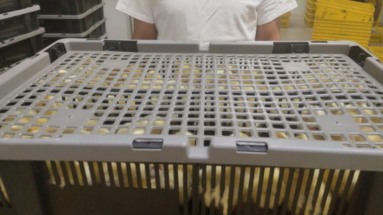 17df9b3ca104.jpeg